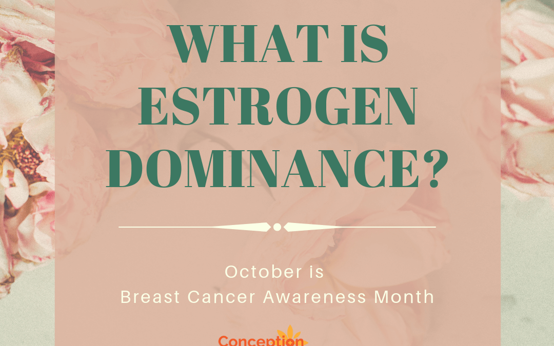 What is Estrogen Dominance?