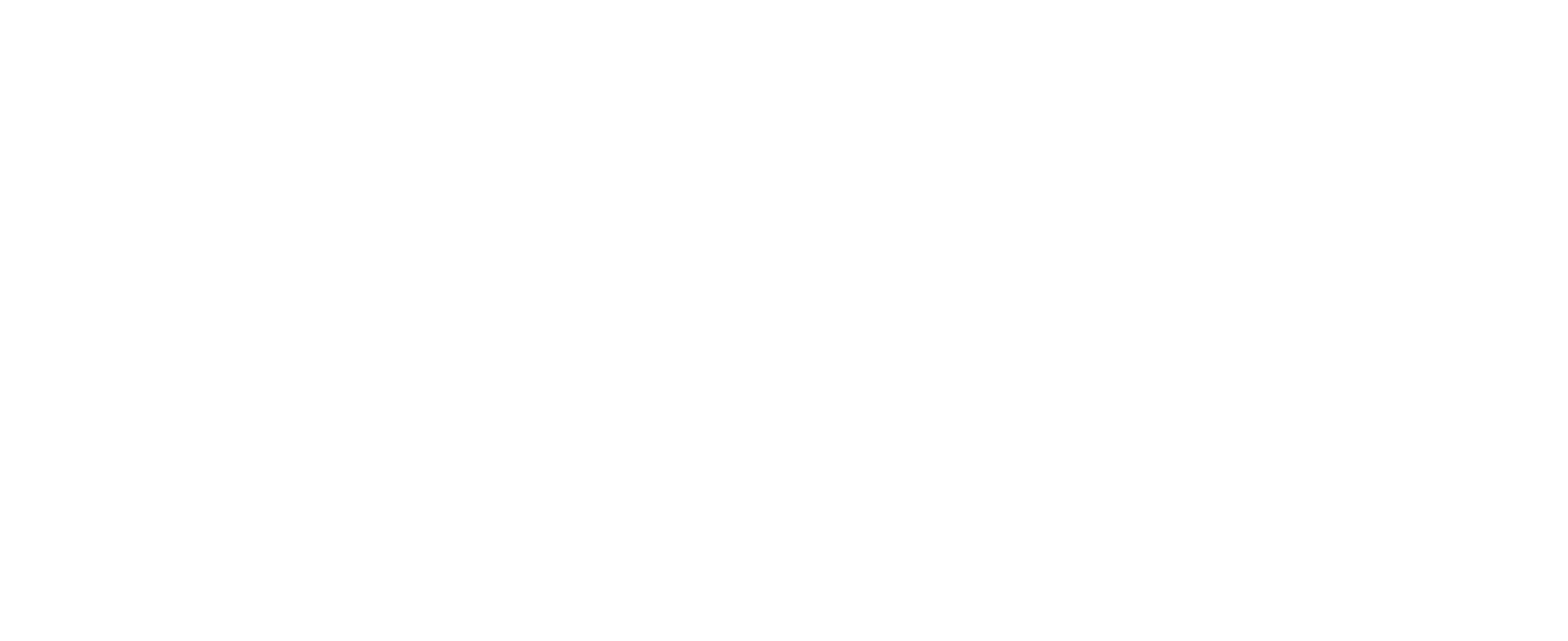 Concept Wellness Logo in white.
